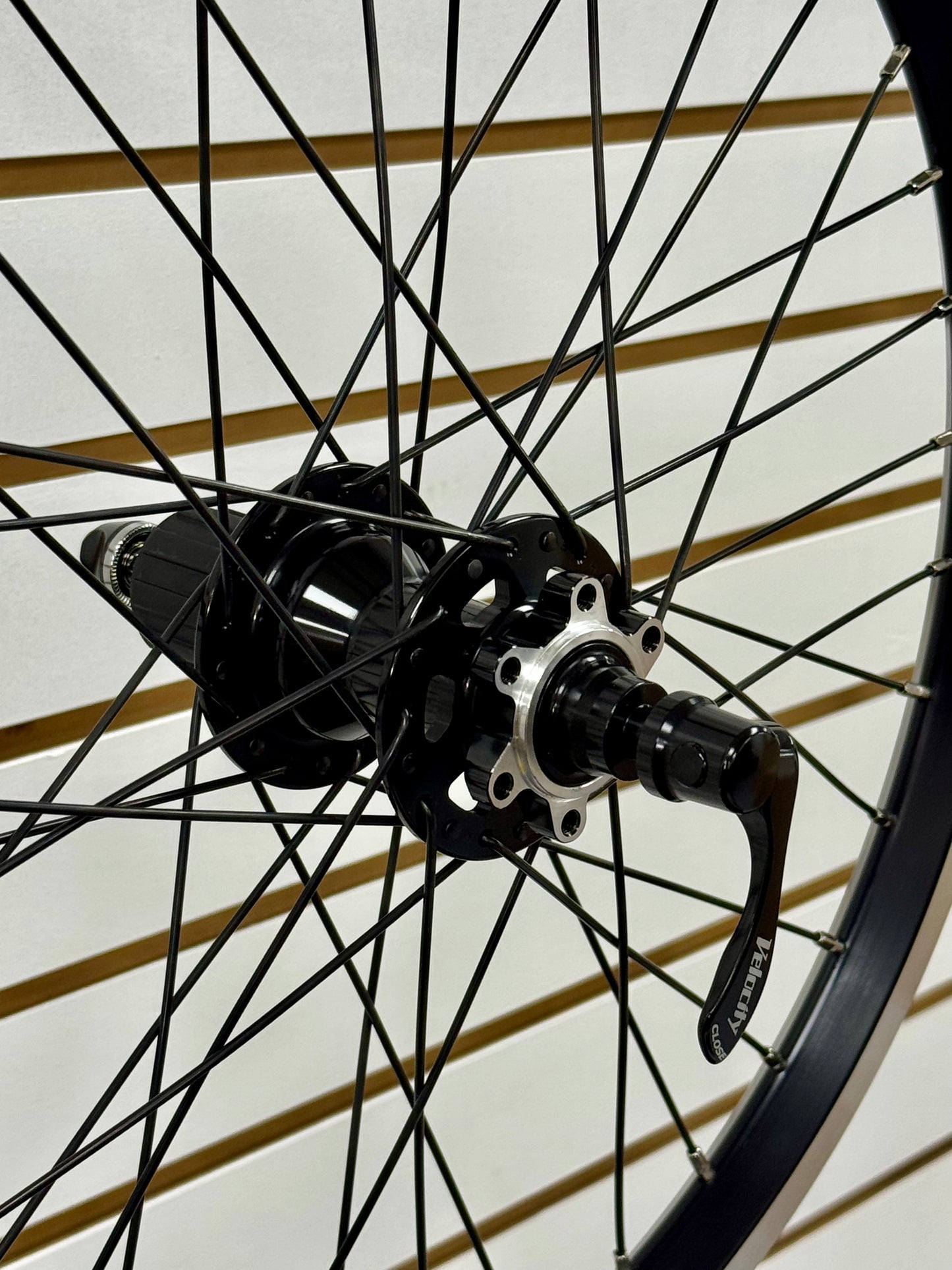 Moulton/Mini Velo 20" Velocity Wheelset