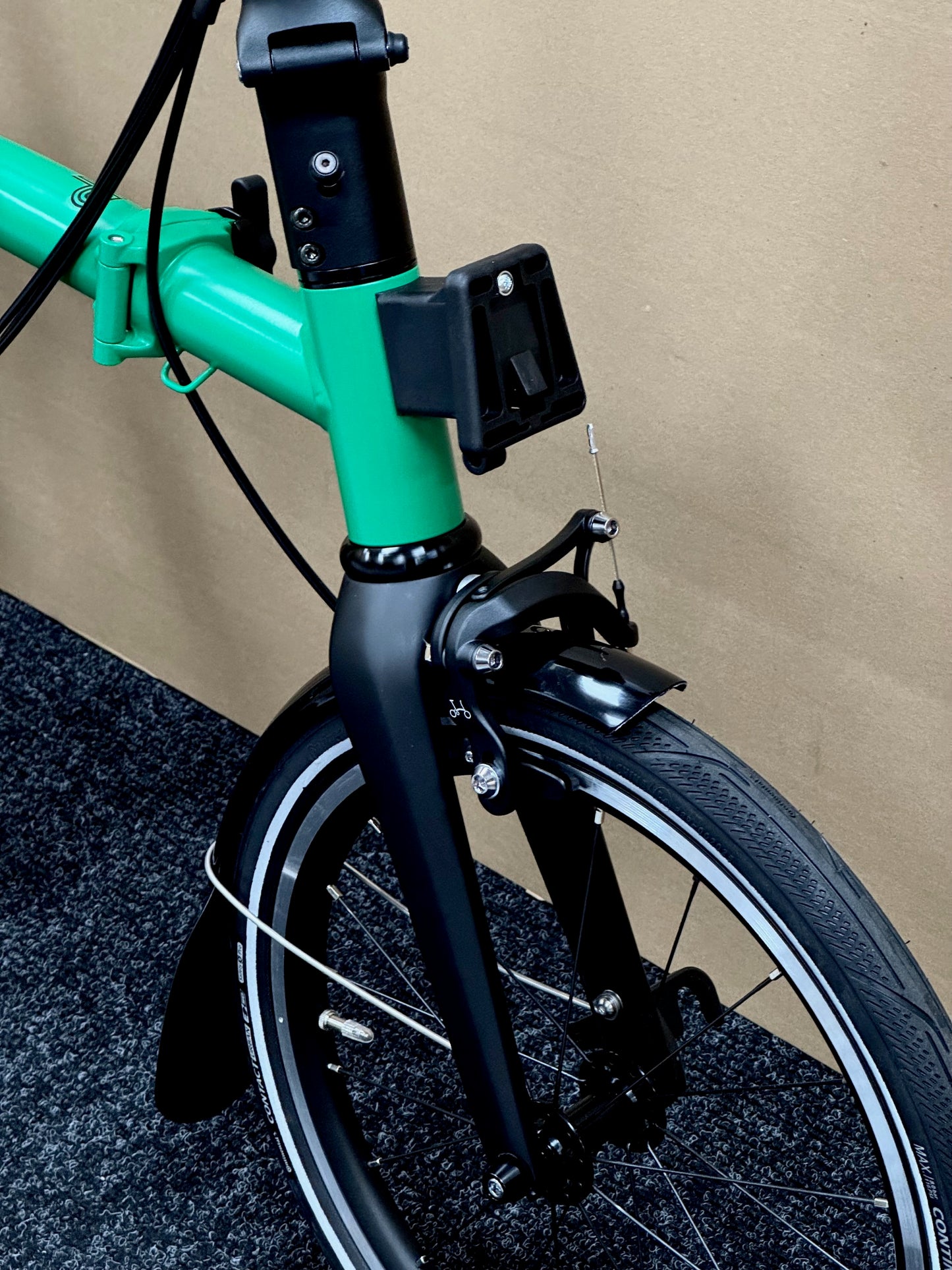 Brompton P Line 12-Speed High-HB Palm Green w/Roller Rack