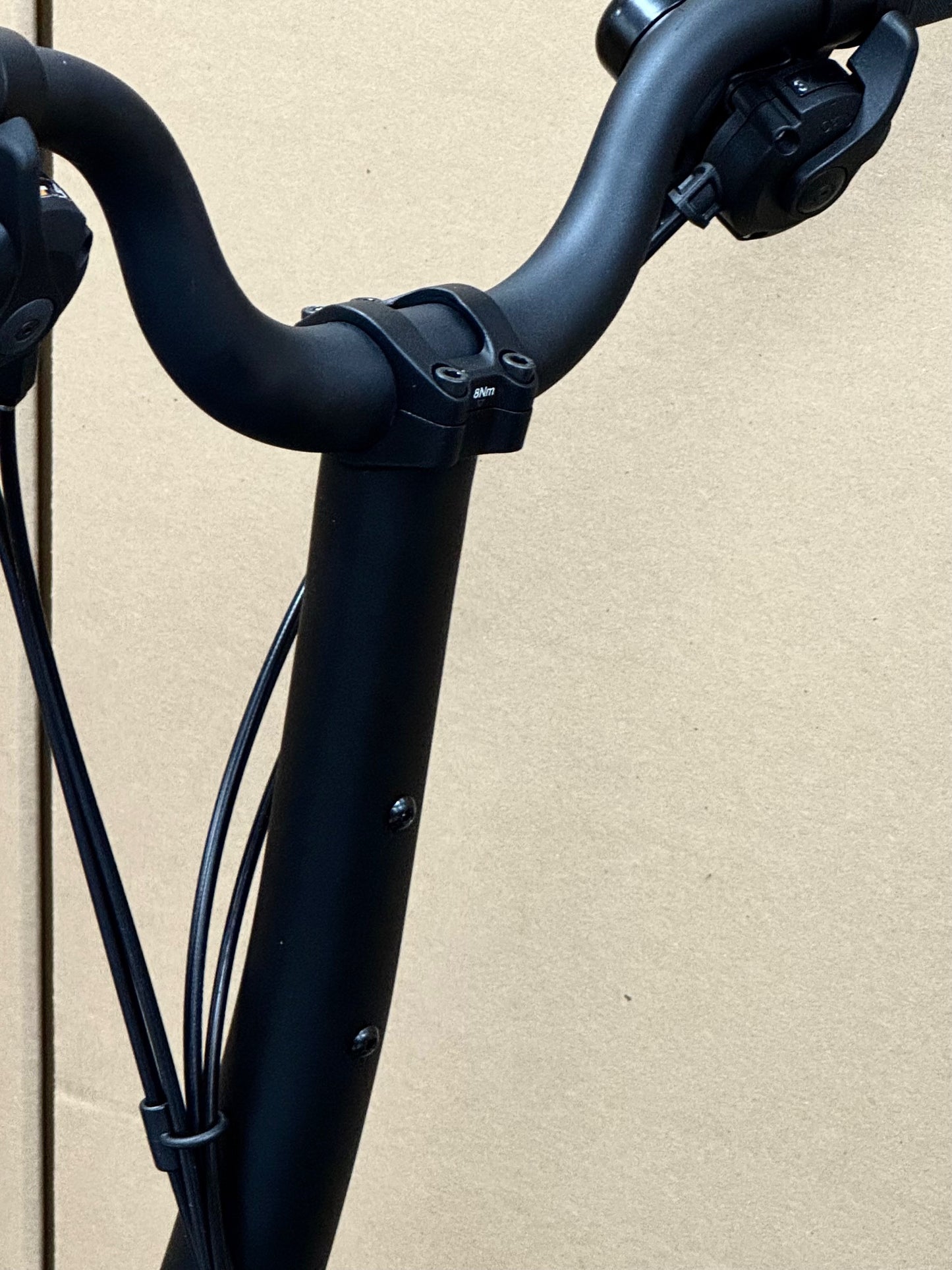 Brompton P Line 12-Speed High-HB Palm Green w/Roller Rack